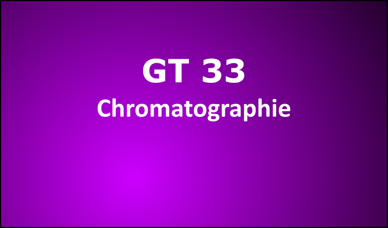 GT 33 logo